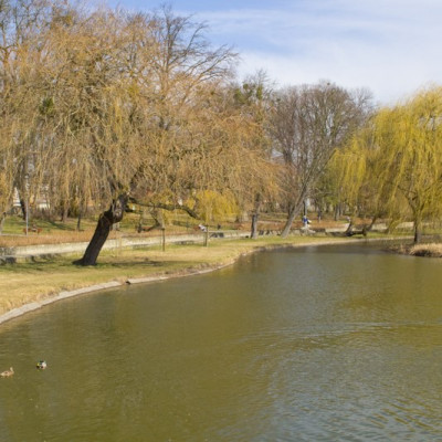 Park im. Miasta Roth w Raciborzu